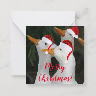 Cartão De Notas Patos Brancos Usando Chapéus Vermelhos de Papai No