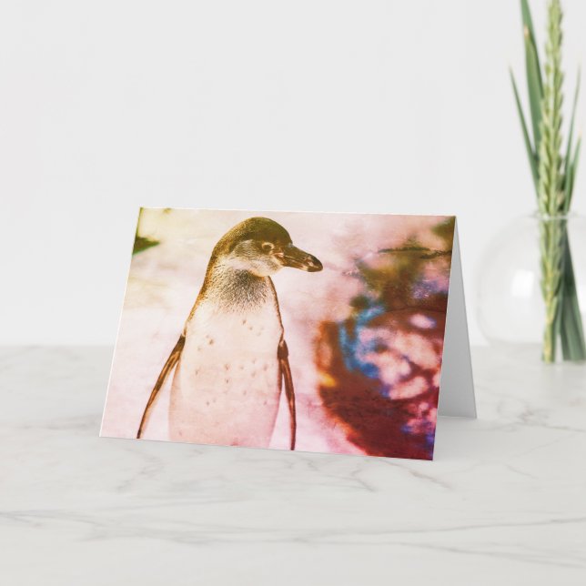 CARTÃO DE NOTAS PENGUIN DOBRADO NOTECARD (Frente)