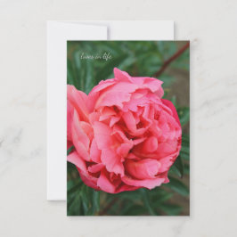 Cartão De Notas Peony Rosa cheio