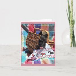 Cartão De Notas Picnic Fun