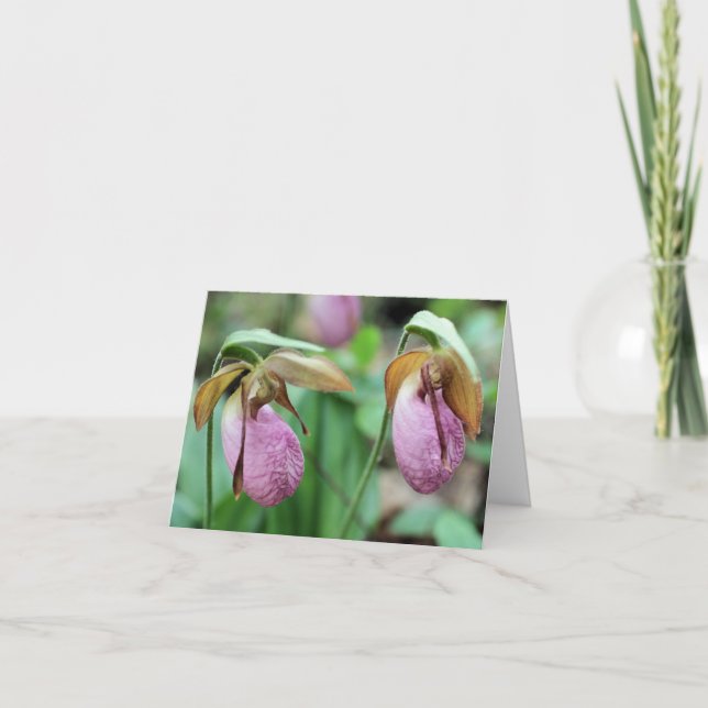 Cartão De Notas Pink Lady Slipper Orchids Flower Photography  (Frente)