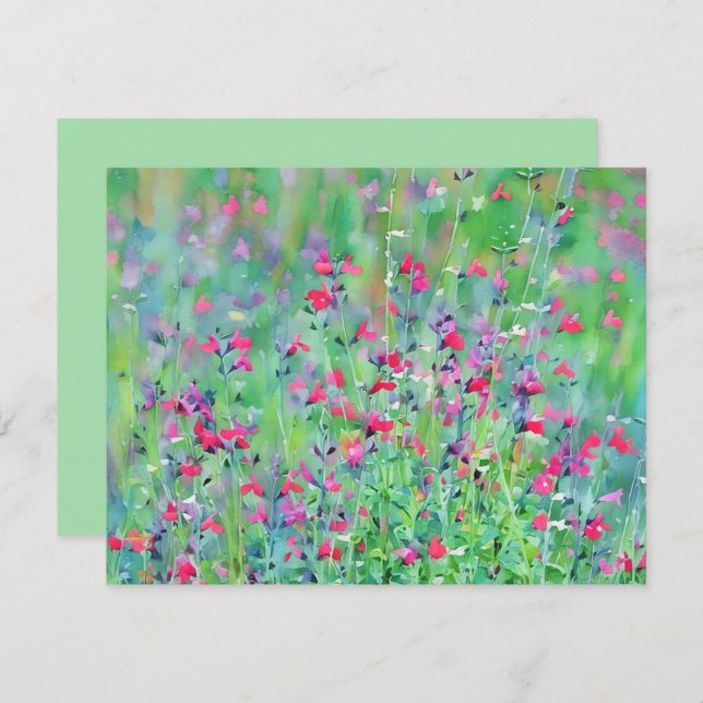 Cartão De Notas Pink Wildflower Salvia Flower Art Note Card Set (Frente/Verso)