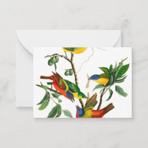 Cartão De Notas Pintado Finch por John James Audubon