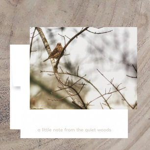 Cartão De Notas Pintassilgo em Galhos de Inverno Fotografia da Nat