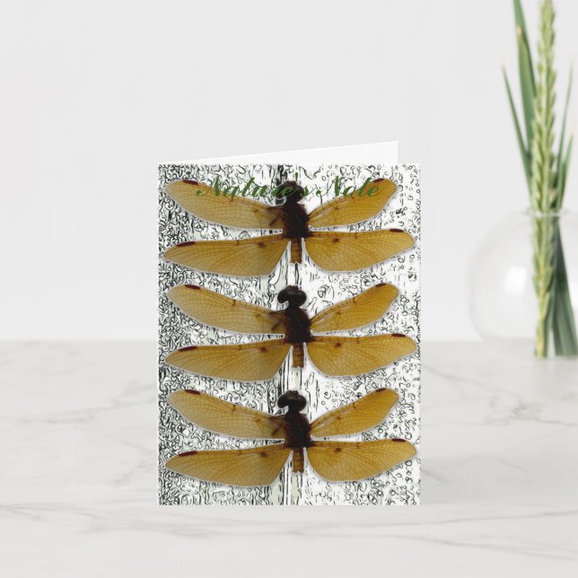 CARTÃO DE NOTAS PLACA DE NOTA DE FOTOGRAFIA DA FOLHA DRAGONFLY (Frente)