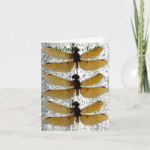 CARTÃO DE NOTAS PLACA DE NOTA DE FOTOGRAFIA DA FOLHA DRAGONFLY