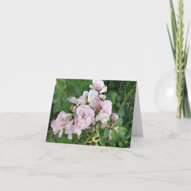 Cartão De Notas Placa de Nota Dobrada de Rosas Rosa (Frente)