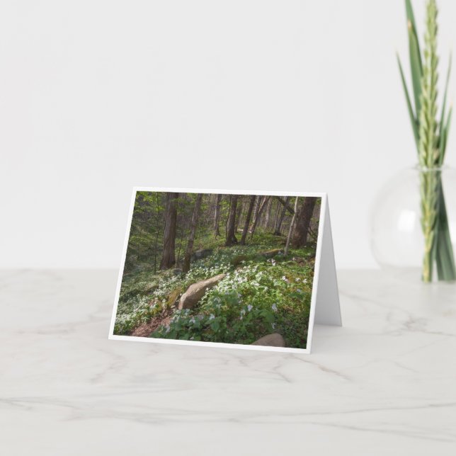 Cartão De Notas Placa de nota dobrada pequena, 4" x 5,6" (Frente)