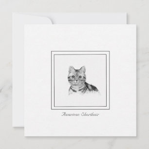 Cartão De Notas Placa de Nota Simples de Desenho de Cat Shorthair