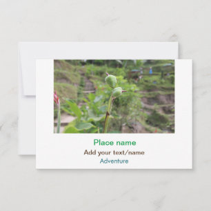 Cartão De Notas Plantas naturais fotografia água de praia viagem