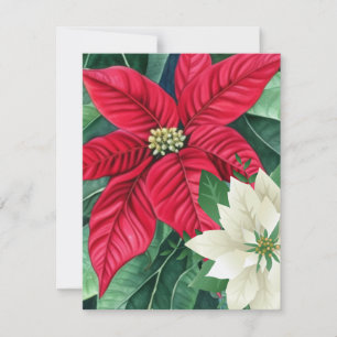 Cartão De Notas Poinsettia