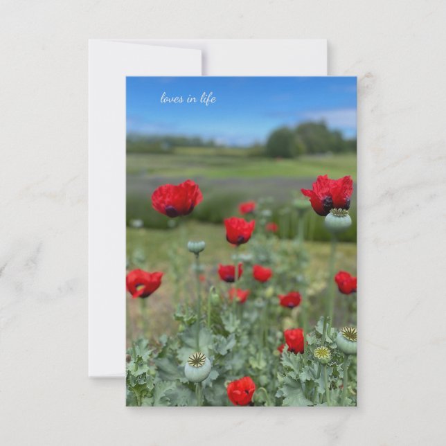 Cartão De Notas Poppies e Cabeças Poppy (Frente)