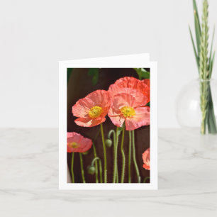 Cartão De Notas Poppies - Papel de carta