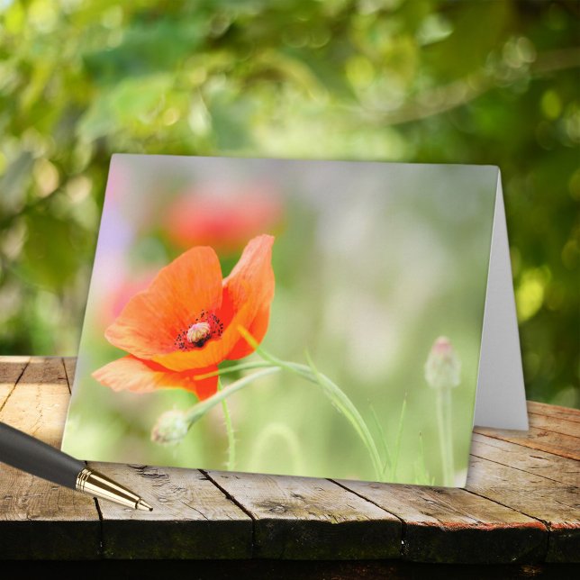 Cartão De Notas Poppy (Criador carregado)