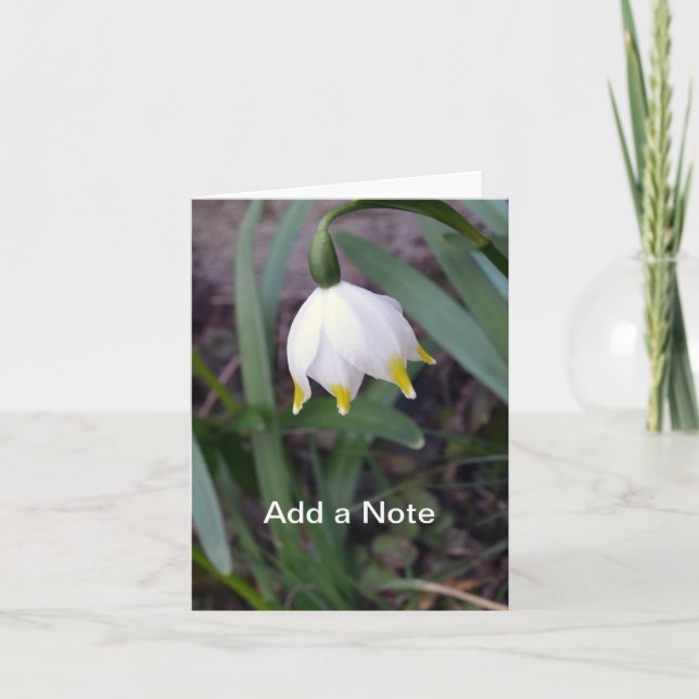 Cartão De Notas Primavera Snowflake Leucojum vernum Personalizável (Frente)