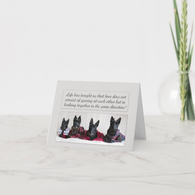 Cartão De Notas Procurando por amor (Frente)