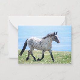 Cartão De Notas Pryor Mountain Wild Mustang Mica/Mato Ska