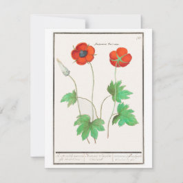 Cartão De Notas Ramalhetes de Flores Vintage Papoulas Florais
