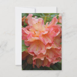 Cartão De Notas Rhododendron com cor de pêssego