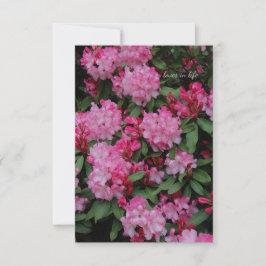 Cartão De Notas Rhododendron rosa
