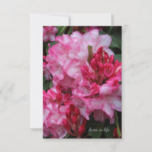 Cartão De Notas Rhododendron Rosa Grande