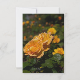 Cartão De Notas Rosas Amarelas