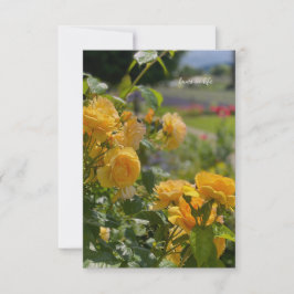 Cartão De Notas Rosas Amarelas, Jardim Vermelho e Roxo