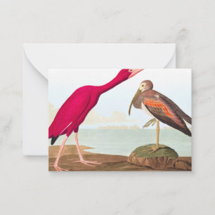 Cartão De Notas Scarlet ibis por John James Audubon