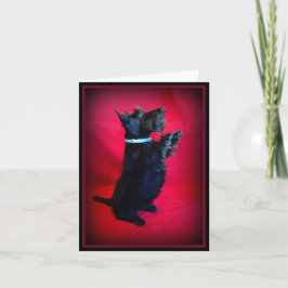 Cartão De Notas Sentado Bonito