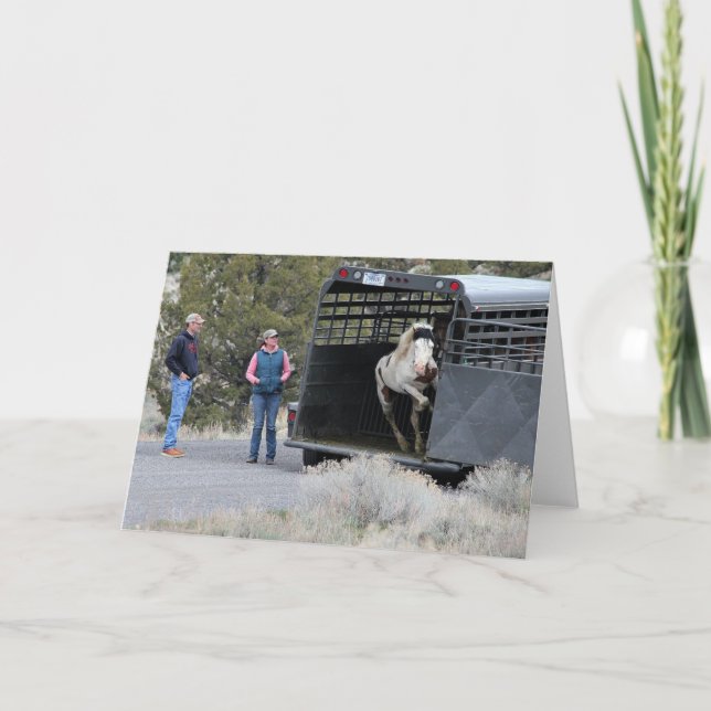 Cartão De Notas Shaman saindo da placa de nota dobrada do reboque (Frente)