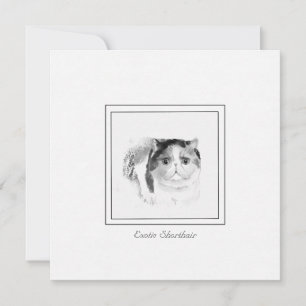 Cartão De Notas Sketch Exótico de Gato de Shorthair no Chalk e Car