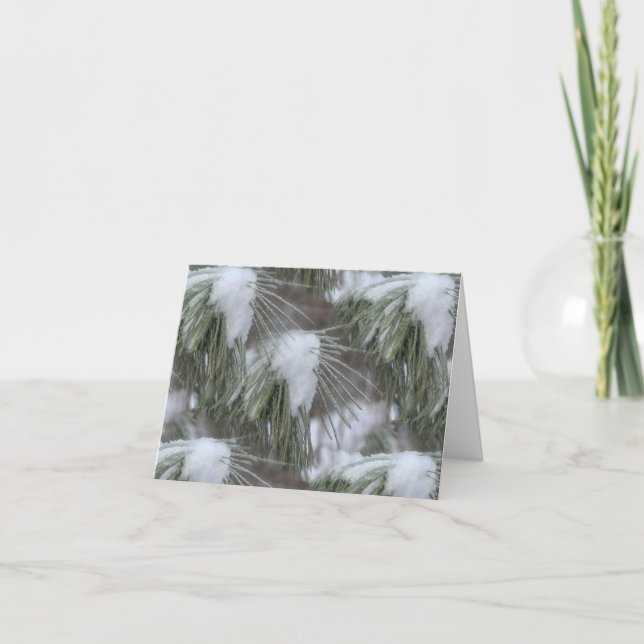 Cartão De Notas Snow And Ice Winter Nature Photography  (Frente)