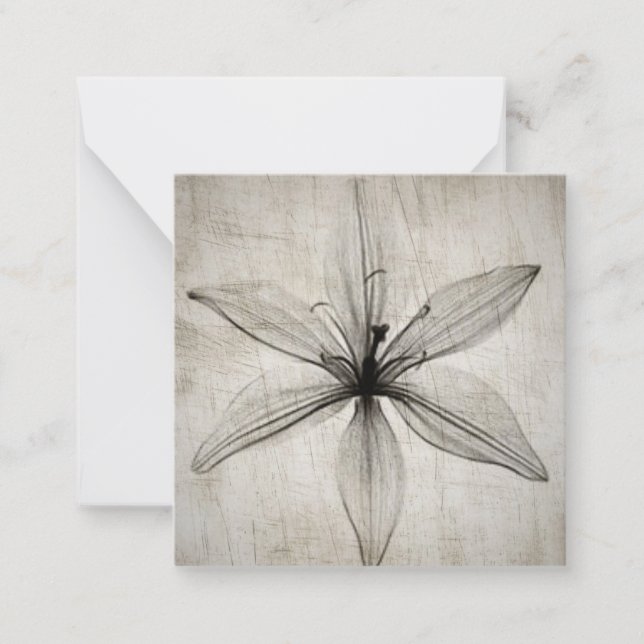 Cartão De Notas Solteiro Vintage X-Ray Flower (Frente)