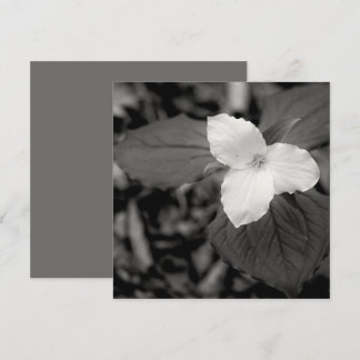 Cartão De Notas Spring Trillium Black and White 