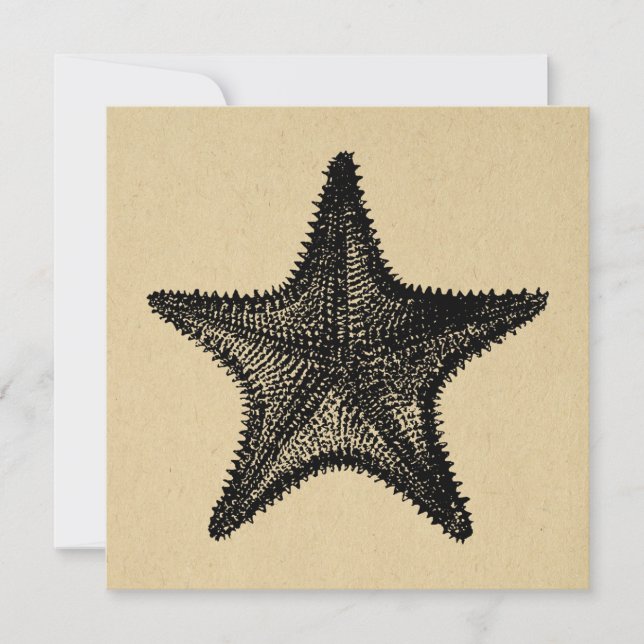 Cartão De Notas Starfish Ilustração de Arte Oceânica (Frente)