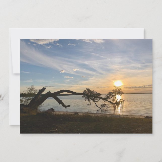 Cartão De Notas Sunset Sobre East Bay (Frente)