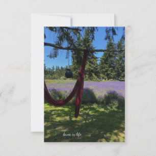 Cartão De Notas Tecido, Lanterna do Jardim e Campo de Lavanda