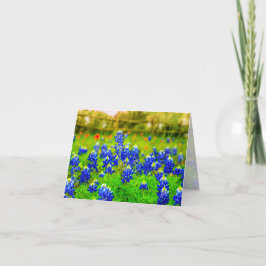 Cartão De Notas Texas Bluebonnets Floral Note Card