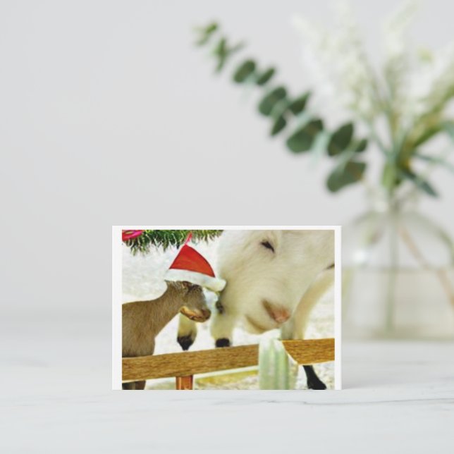 Cartão De Notas The goats of Christmas past Card (Em pé/Frente)