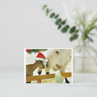 Cartão De Notas The goats of Christmas past Card