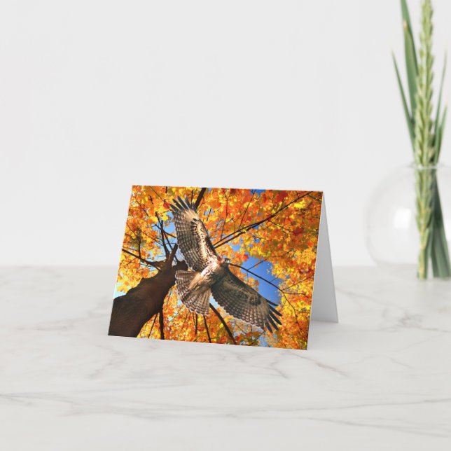 Cartão De Notas "The Sunday Hawk" Note Card (Frente)