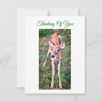 Cartão De Notas Thinking Of You Flat Note Card With Fawn