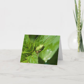Cartão De Notas Tiny Frog Note Card (glossy)