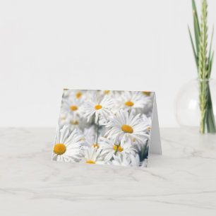 Cartão De Notas Trendy Daisy Design