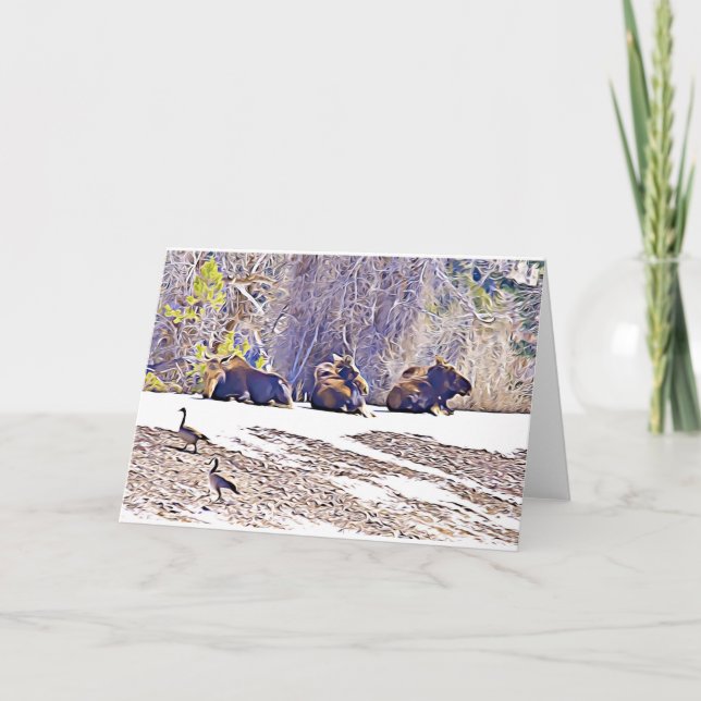 Cartão De Notas Três alce, notório (Frente)