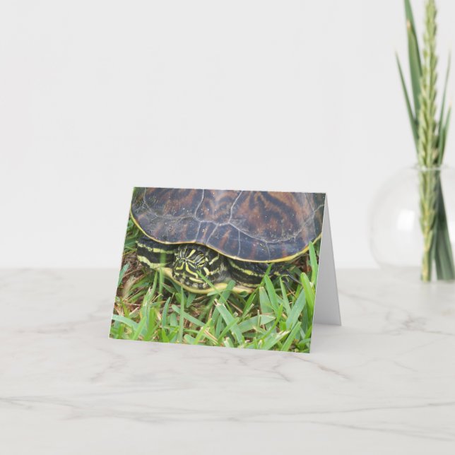 Cartão De Notas Turtle face peeking out of shell on blank (Frente)