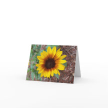 Um pequeno girassol amarelo no jardim das flores