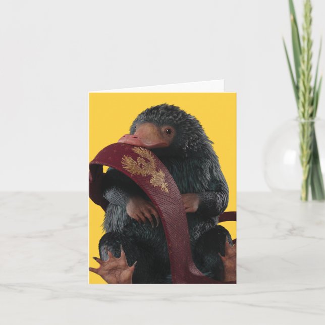 Cartão De Notas Ursinho Com Gráfico De Gravação (Frente)