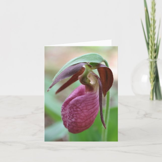Cartão De Notas Vibrant Lady Slipper Flower Photography  (Frente)