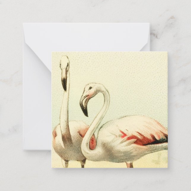 Cartão De Notas Vintage Flamingo (Frente)